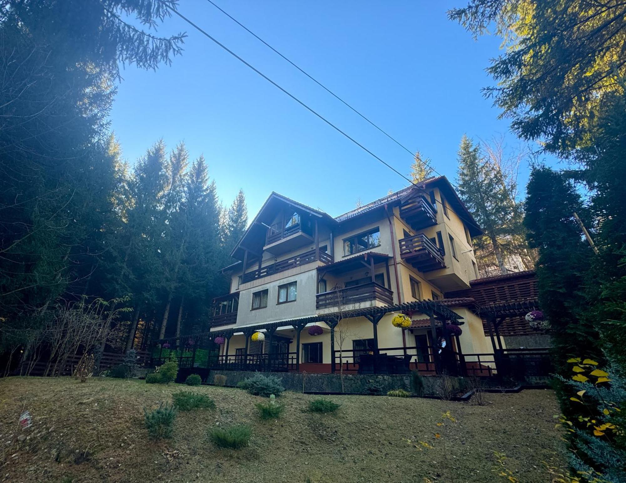 Apartament Impala Sinaia - Gazelle Zewnętrze zdjęcie