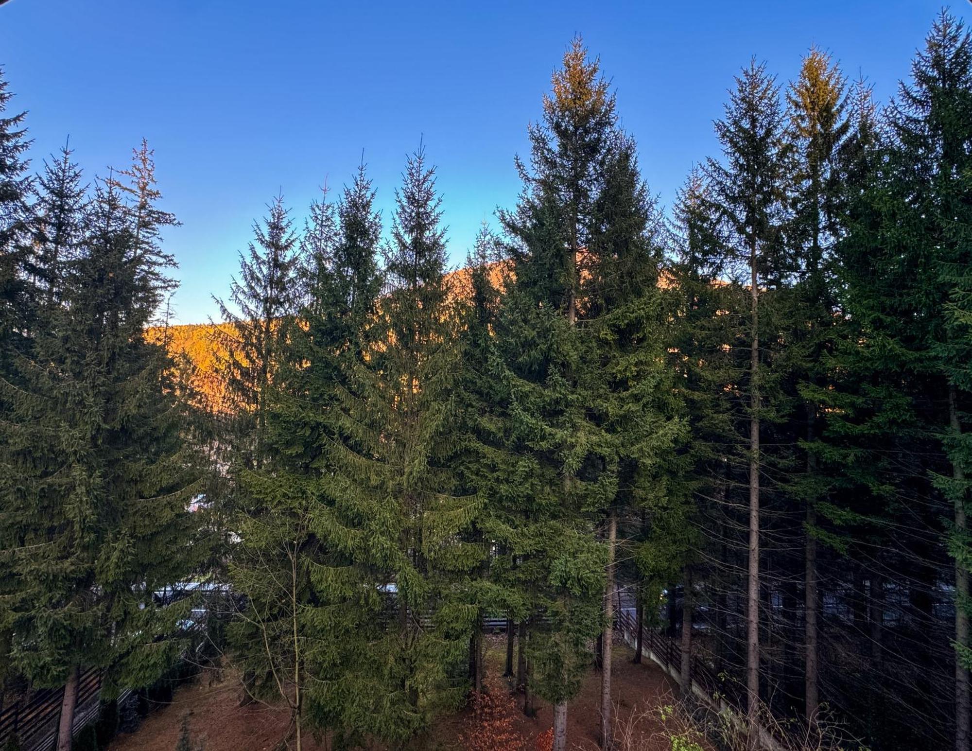 Apartament Impala Sinaia - Gazelle Zewnętrze zdjęcie